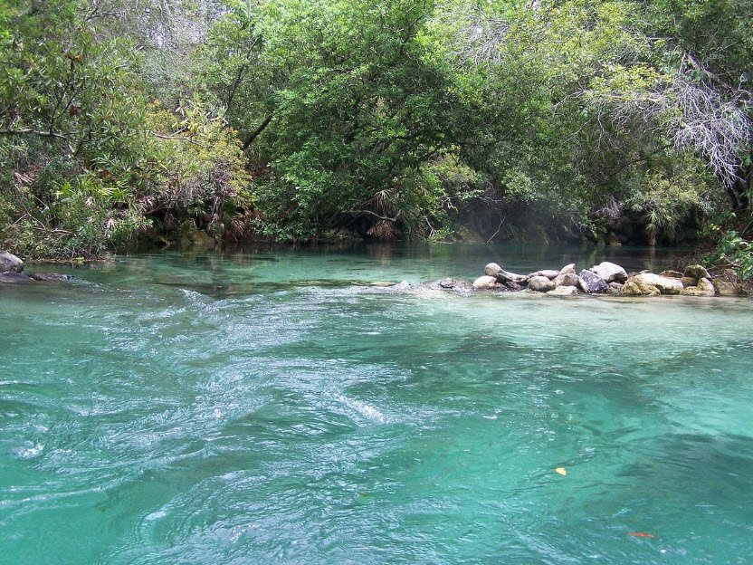 Weeki Wachee Spring, United States